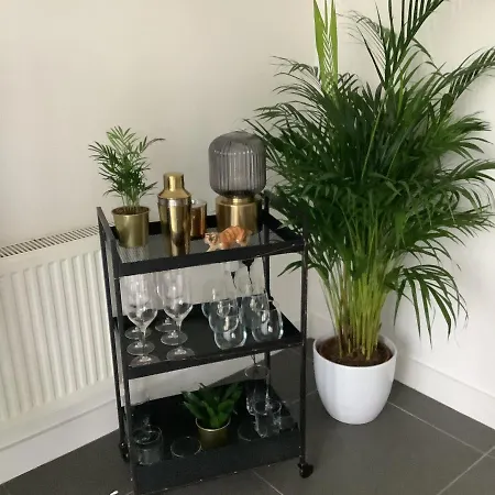 Modern 3 Bed Detached Whole House In Great Location